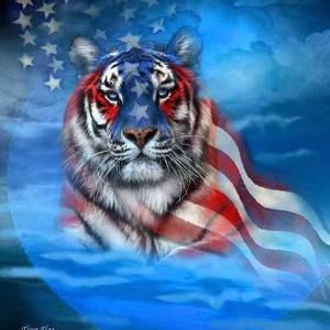 Meet your Posher, Drew